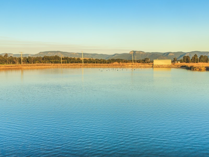 4/ Milbrodale Road, Broke NSW 2330