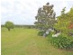 642 Wollombi Road, Bishops Bridge NSW 2326
