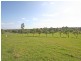 642 Wollombi Road, Bishops Bridge NSW 2326