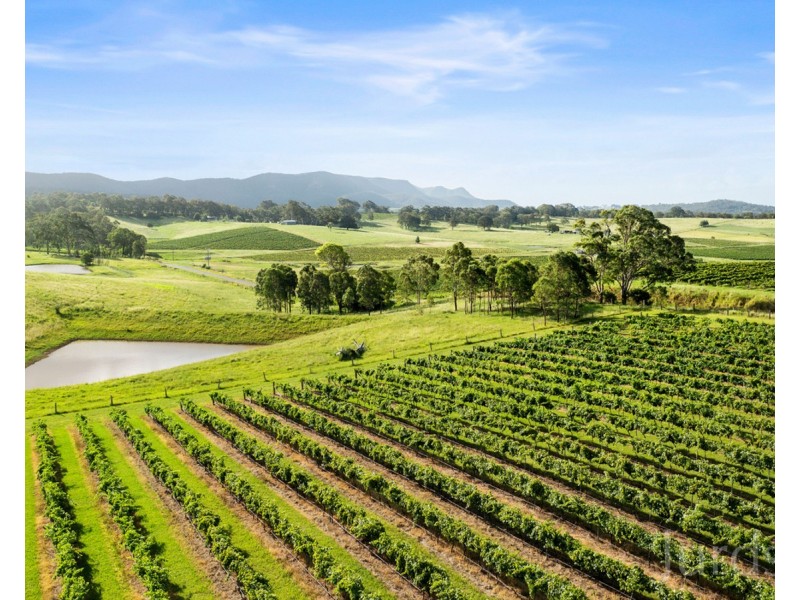 119 Marrowbone Road, Pokolbin NSW 2320