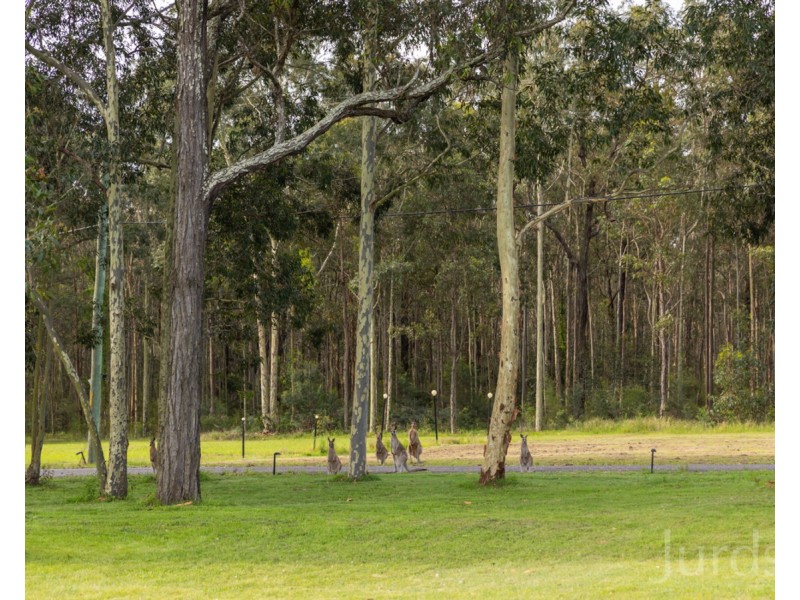 27 Richardson Road, Lovedale NSW 2325