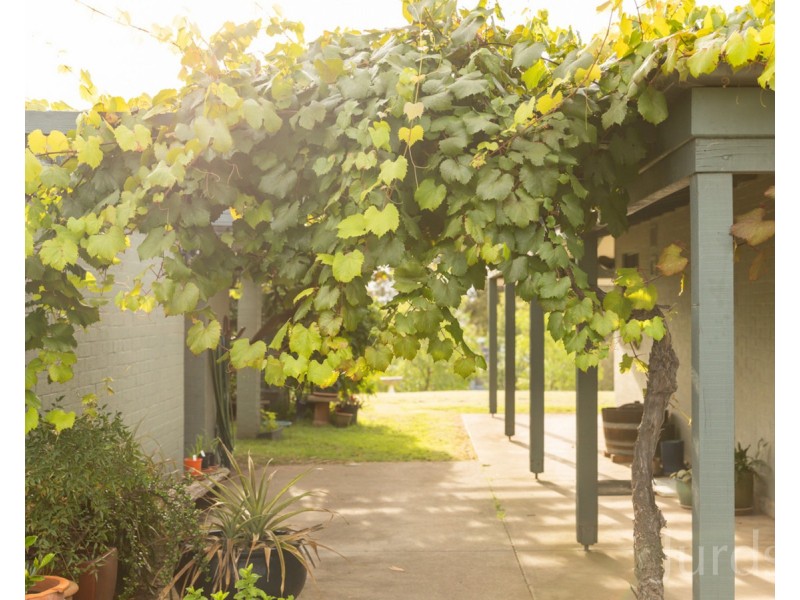 27 Richardson Road, Lovedale NSW 2325