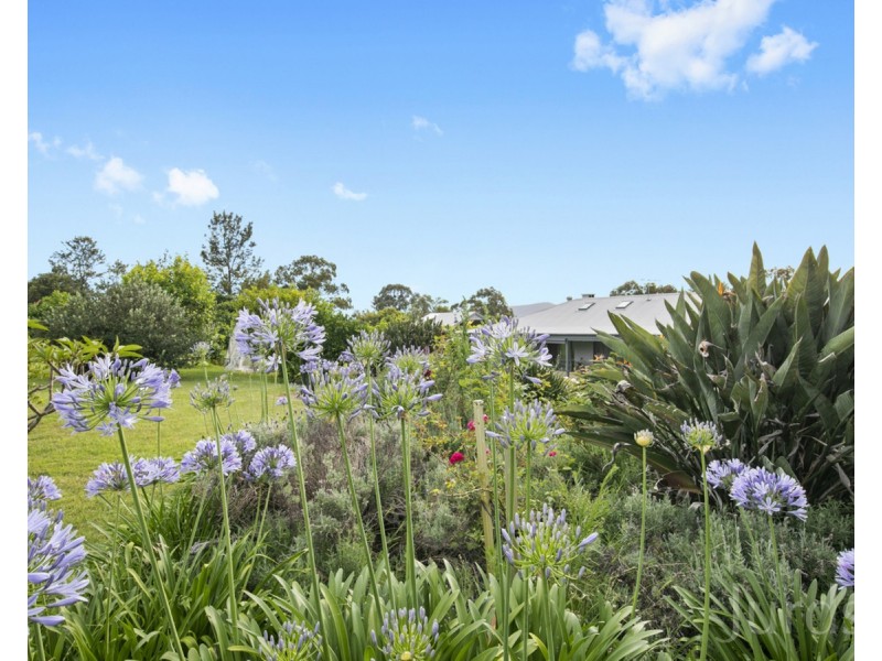 27 Richardson Road, Lovedale NSW 2325