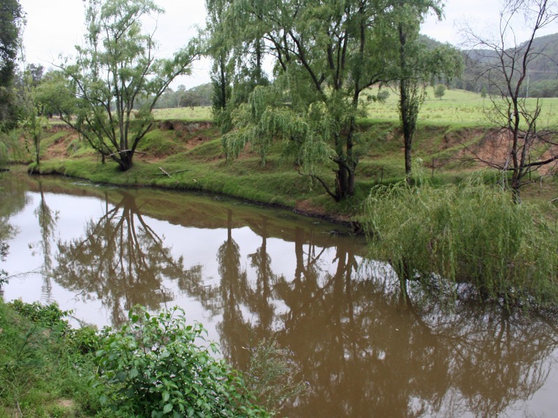 1652 Wollombi Road, Millfield NSW 2325