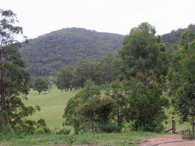 1652 Wollombi Road, Millfield NSW 2325