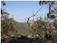 1652 Wollombi Road, Millfield NSW 2325
