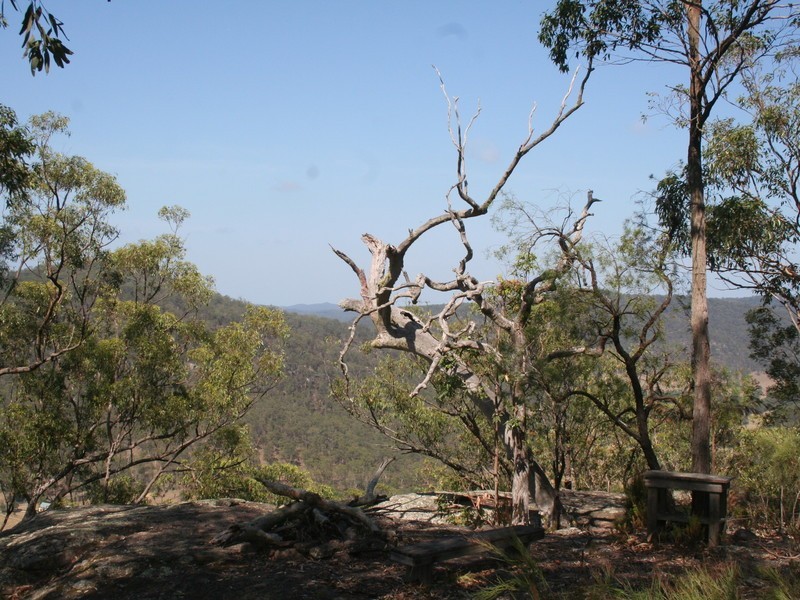 1652 Wollombi Road, Millfield NSW 2325