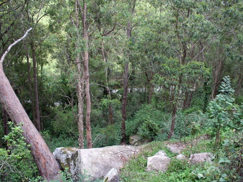 1652 Wollombi Road, Millfield NSW 2325