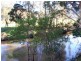 1652 Wollombi Road, Millfield NSW 2325