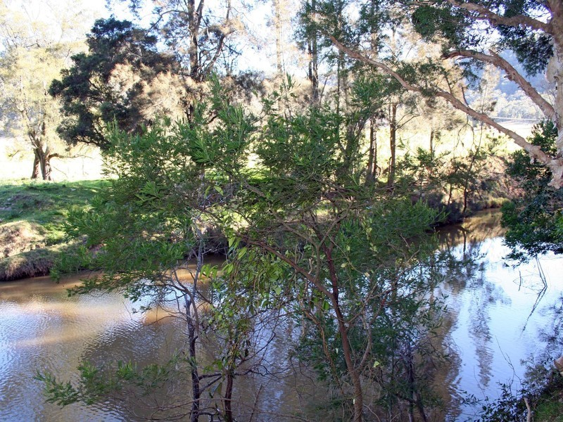 1652 Wollombi Road, Millfield NSW 2325
