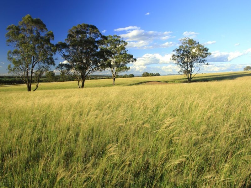 252 Deasys Road, Pokolbin NSW 2320