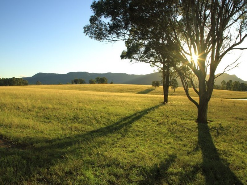 252 Deasys Road, Pokolbin NSW 2320