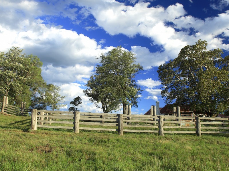 252 Deasys Road, Pokolbin NSW 2320