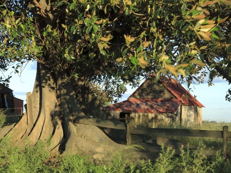 252 Deasys Road, Pokolbin NSW 2320