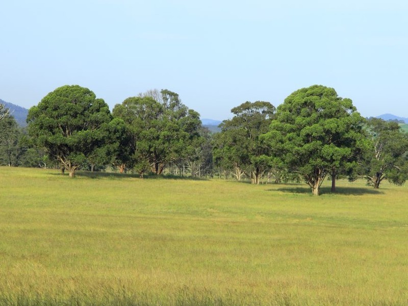 252 Deasys Road, Pokolbin NSW 2320