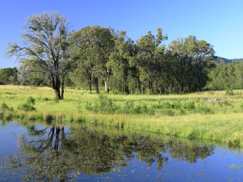 252 Deasys Road, Pokolbin NSW 2320