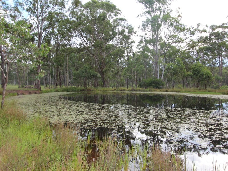 75 Millfield Road, Paxton NSW 2325
