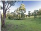 100 Shingle Gully Road, Millfield NSW 2325