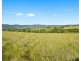 Hillsborough NSW 2320