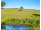 Hillsborough NSW 2320