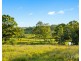 Hillsborough NSW 2320