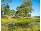 Hillsborough NSW 2320