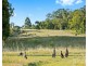 Hillsborough NSW 2320