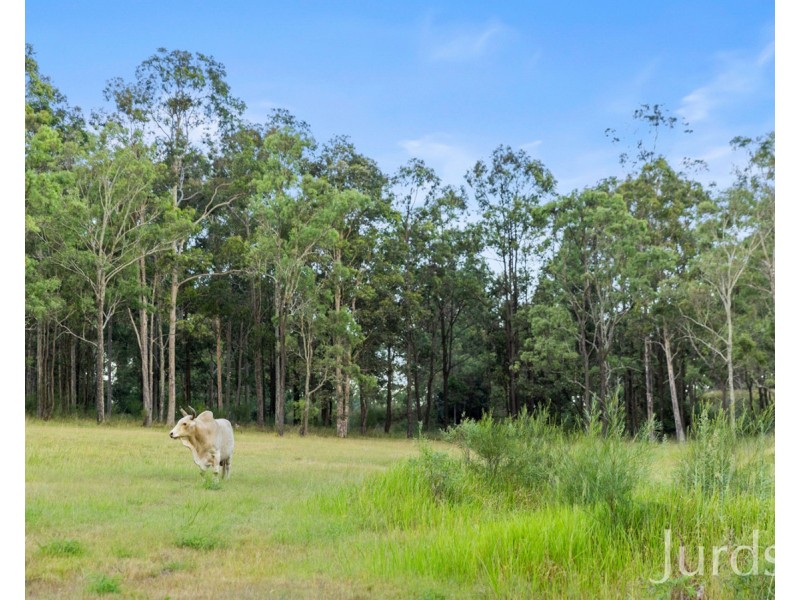 256 Elderslie Road, Branxton NSW 2335