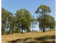 14 Freeman Close (Wattle Ponds), Singleton NSW 2330