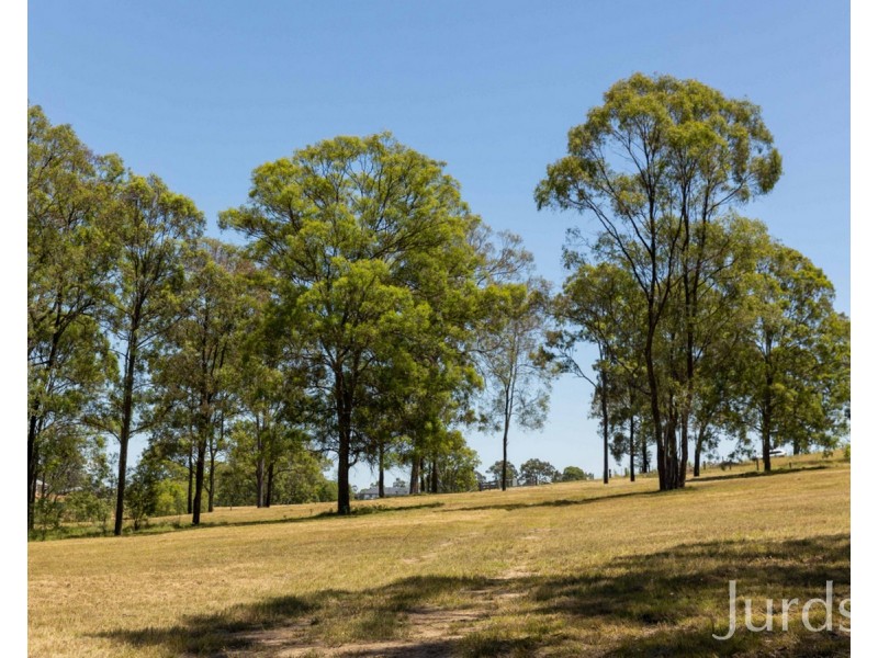 14 Freeman Close (Wattle Ponds), Singleton NSW 2330