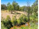 14 Freeman Close (Wattle Ponds), Singleton NSW 2330