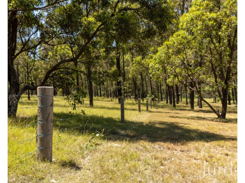 14 Freeman Close (Wattle Ponds), Singleton NSW 2330