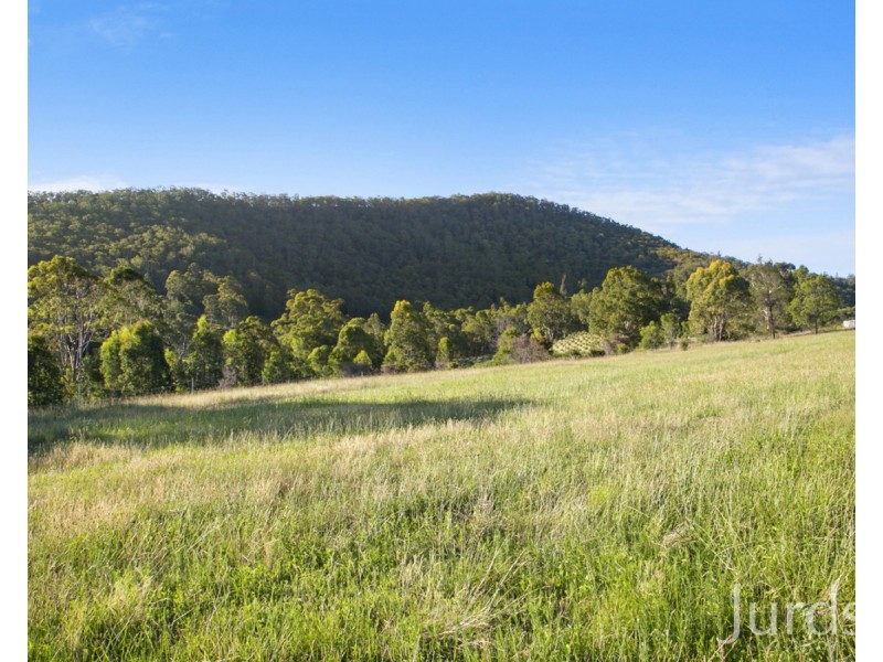 42 Lewis Lane, Millfield NSW 2325