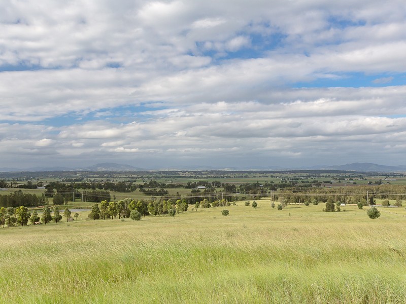 55 Minimbah Drive, Whittingham NSW 2330