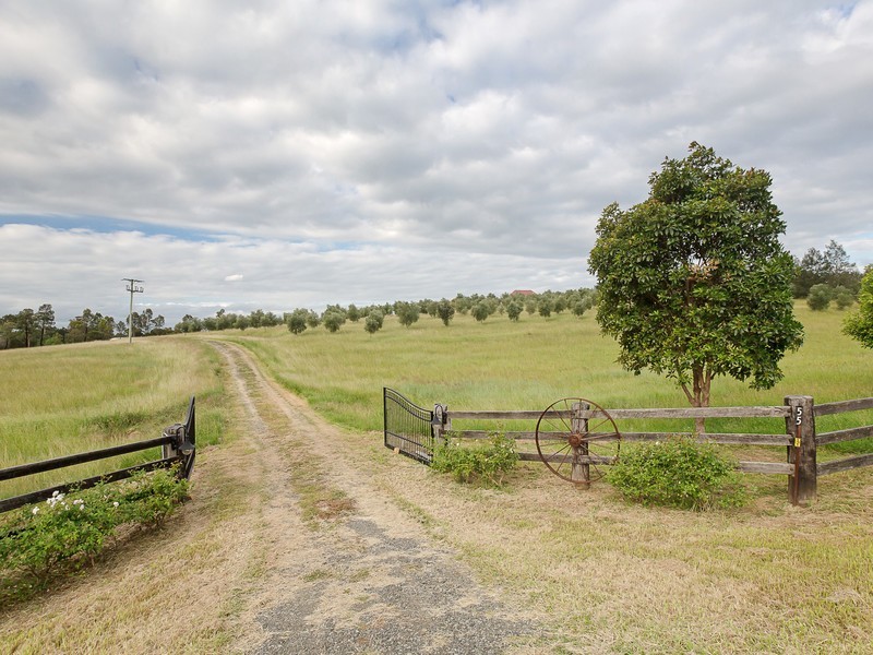 55 Minimbah Drive, Whittingham NSW 2330