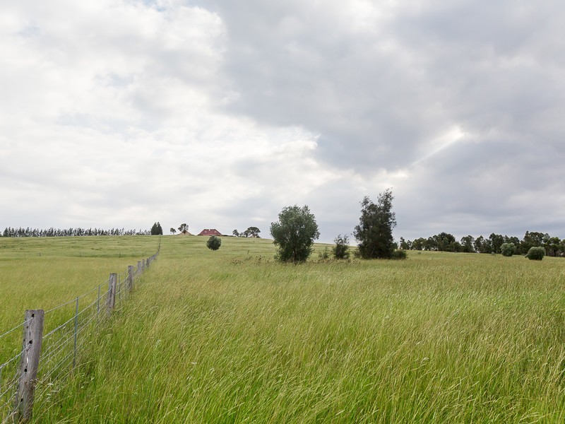 55 Minimbah Drive, Whittingham NSW 2330