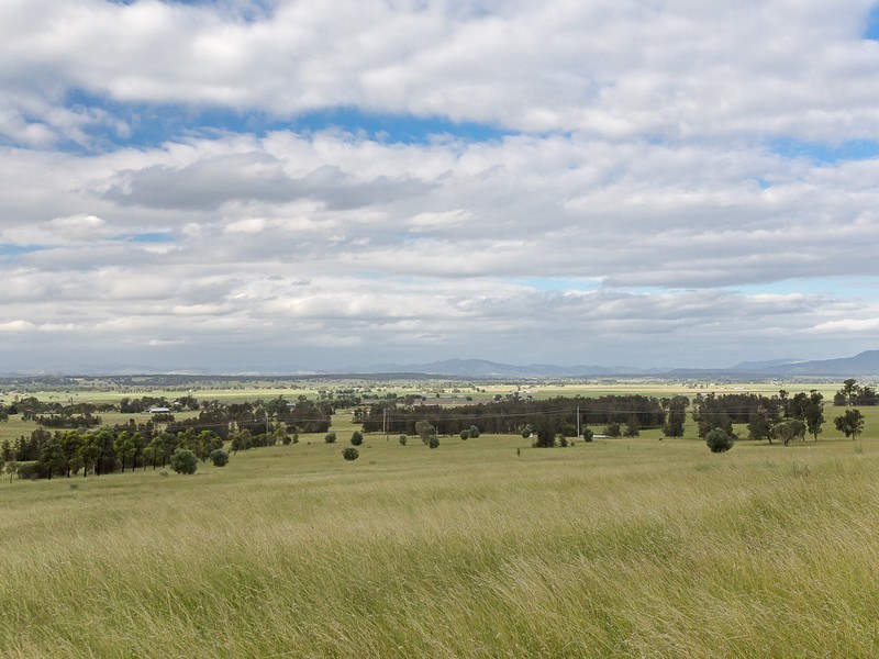 55 Minimbah Drive, Whittingham NSW 2330