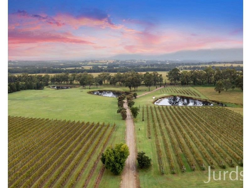 447 Old North Road, Pokolbin NSW 2320