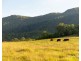 41 Gills Lane, Brunkerville NSW 2323