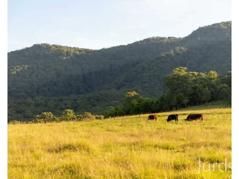 41 Gills Lane, Brunkerville NSW 2323