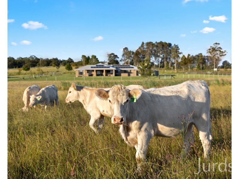 5 Alma Road, Branxton NSW 2335