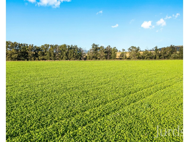 1026 Middle Falbrook Road, Middle Falbrook NSW 2330