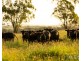 1026 Middle Falbrook Road, Middle Falbrook NSW 2330