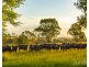 1026 Middle Falbrook Road, Middle Falbrook NSW 2330