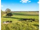 1026 Middle Falbrook Road, Middle Falbrook NSW 2330