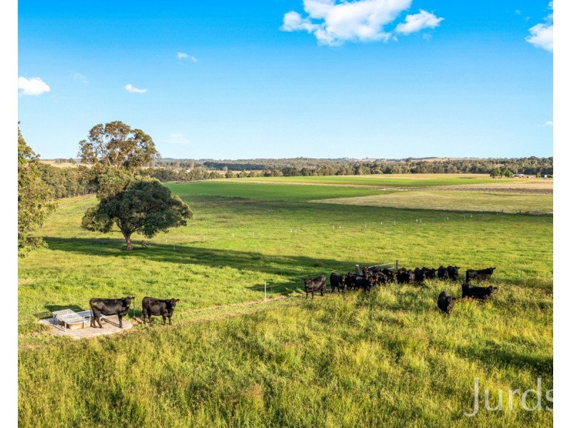 1026 Middle Falbrook Road, Middle Falbrook NSW 2330