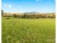 1026 Middle Falbrook Road, Middle Falbrook NSW 2330
