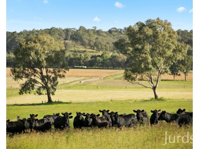1026 Middle Falbrook Road, Middle Falbrook NSW 2330