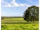 1026 Middle Falbrook Road, Middle Falbrook NSW 2330