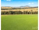 1026 Middle Falbrook Road, Middle Falbrook NSW 2330